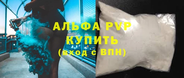 сатива Новодвинск