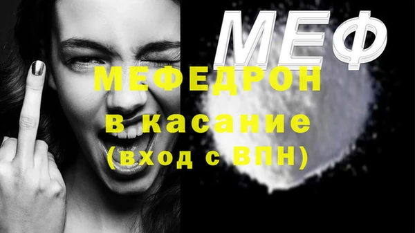 сатива Новодвинск