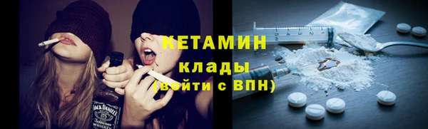 сатива Новодвинск