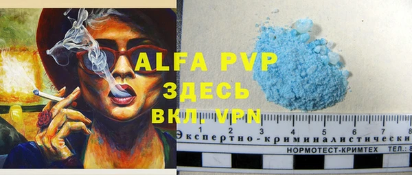 сатива Новодвинск