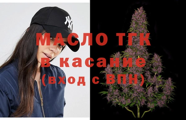 сатива Новодвинск