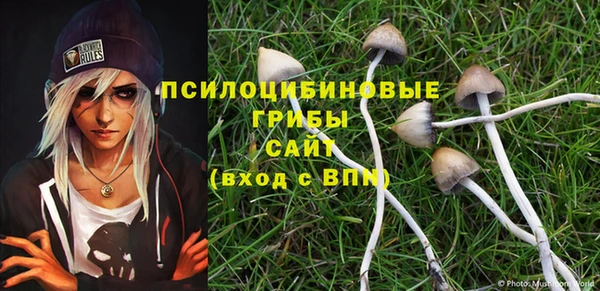 синтетический гашиш Нефтегорск