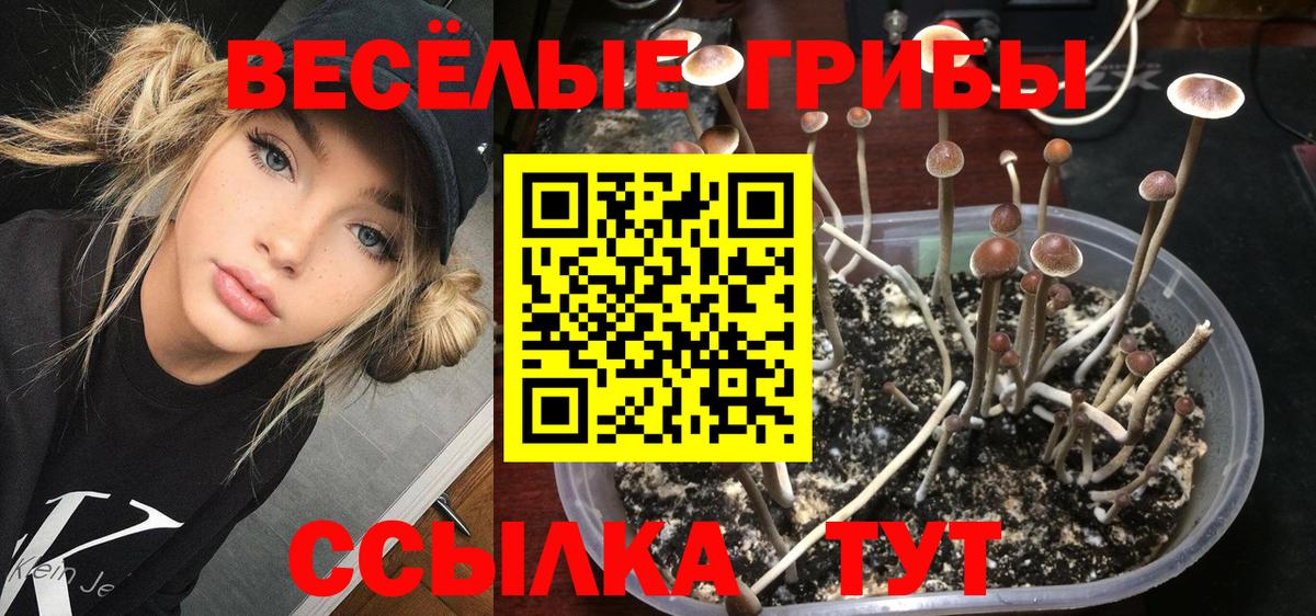 Галлюциногенные грибы Magic Shrooms  купить наркотики цена  Шарыпово  Галлюциногенные грибы мицелий  Вход с VPN 